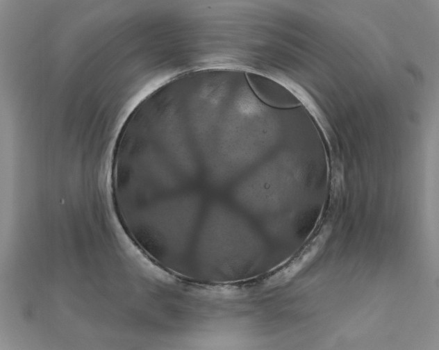 X0000112030957200908101336