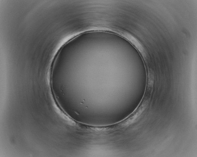 X0000112030958200908101336