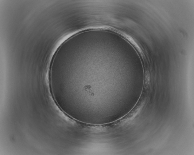 X0000112030959200908101336