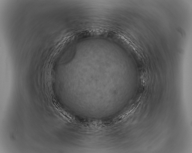 X0000112030961200908101335