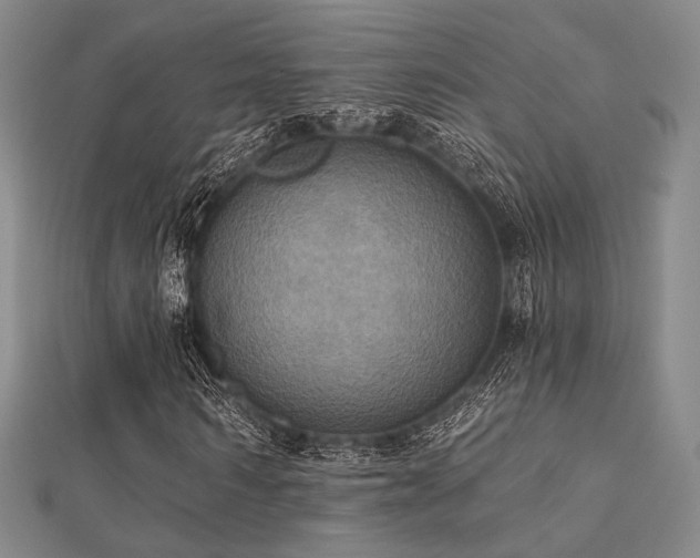 X0000112030962200908101335