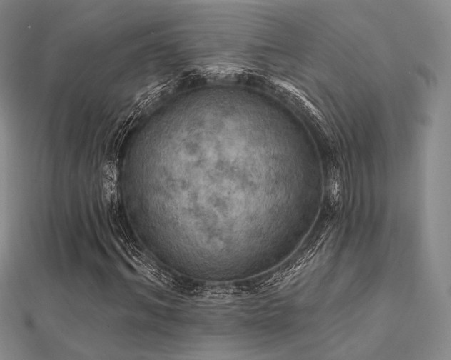 X0000112030964200908101335
