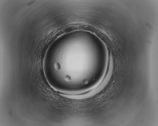 X0000112030965200908101335