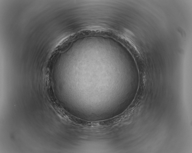 X0000112030968200908101335