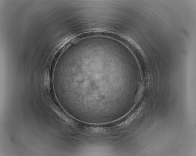 X0000112030969200908101335