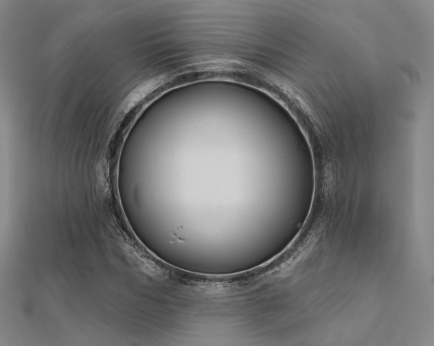 X0000112030970200908101335