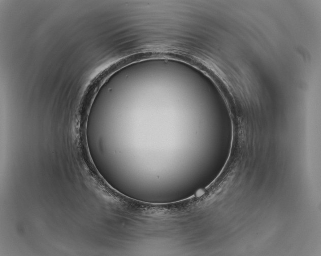 X0000112030971200908101335