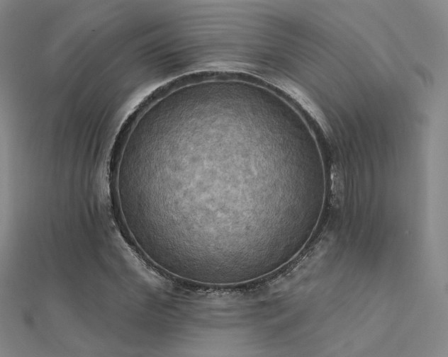 X0000112030972200908101335