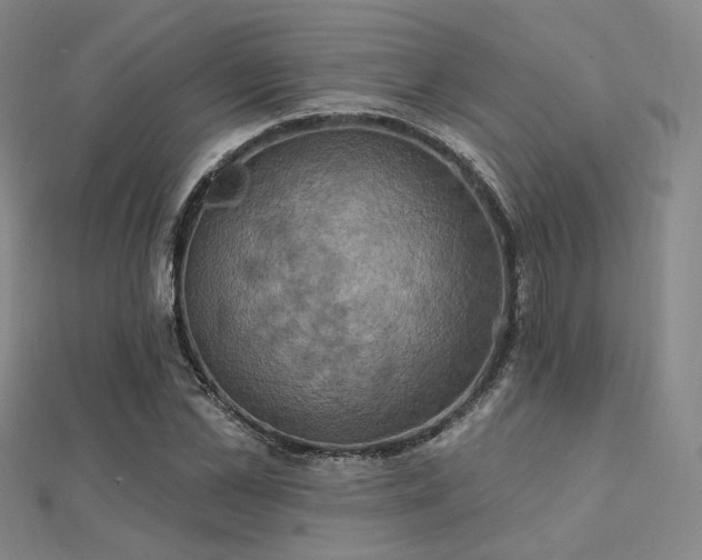 X0000112030973200908101335