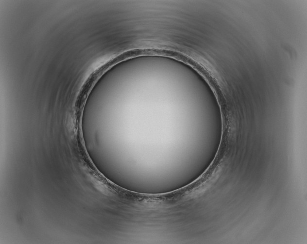X0000112030974200908101335