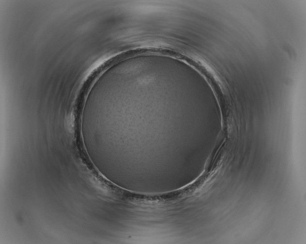 X0000112030975200908101335