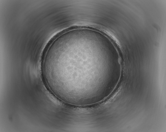 X0000112030976200908101334