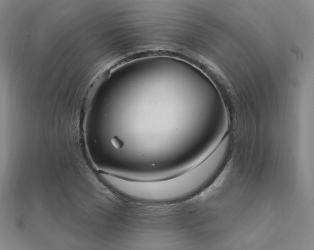 X0000112030977200908101334