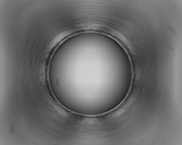 X0000112030978200908101334