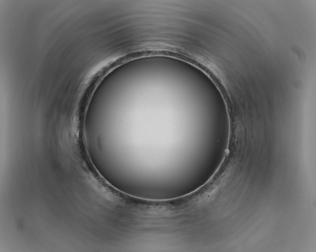 X0000112030979200908101334