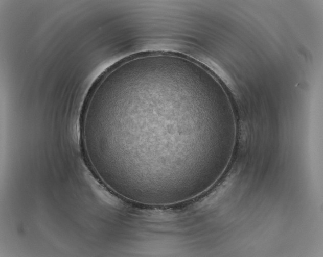 X0000112030980200908101334