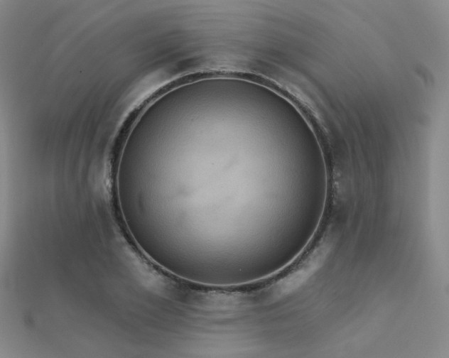 X0000112030981200908101334