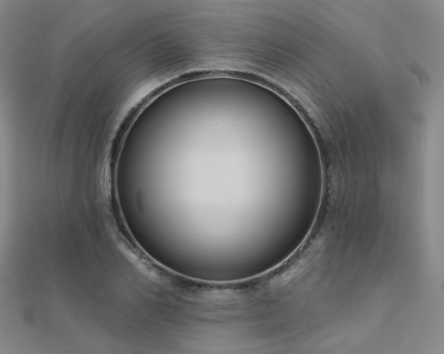 X0000112030982200908101334