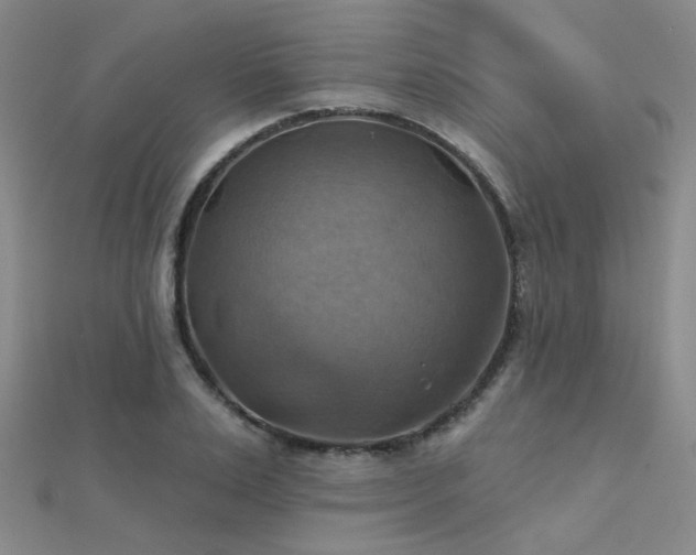 X0000112030983200908101334