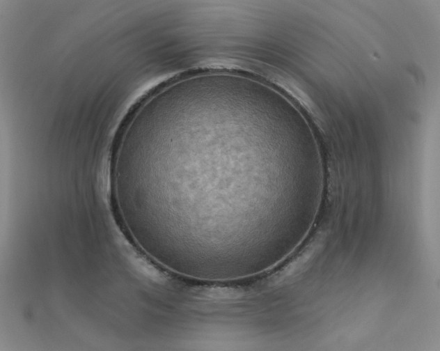 X0000112030984200908101334