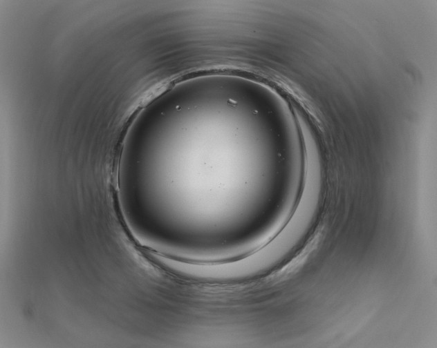 X0000112030985200908101334