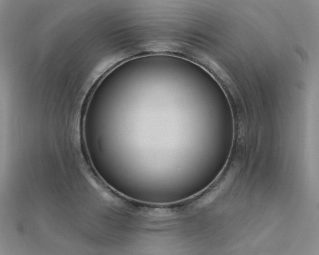 X0000112030986200908101334