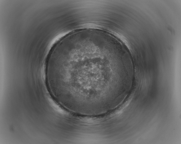 X0000112030987200908101334