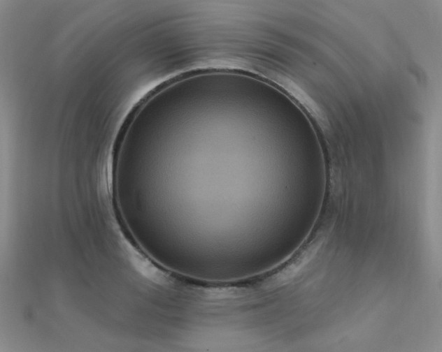 X0000112030988200908101334