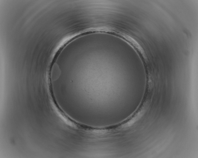 X0000112030989200908101334