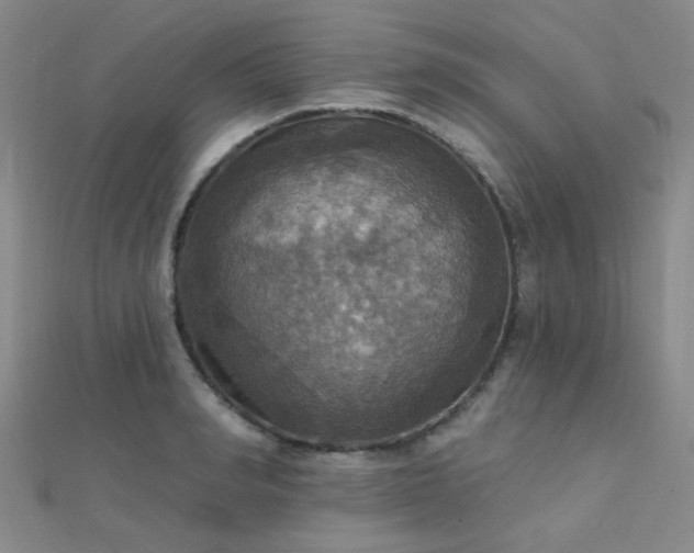 X0000112030990200908101334