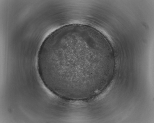 X0000112030991200908101334