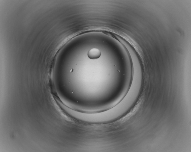 X0000112030993200908101334