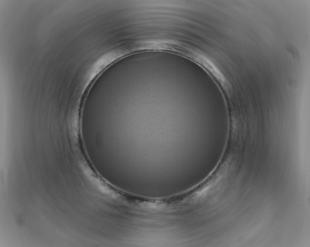X0000112030994200908101334