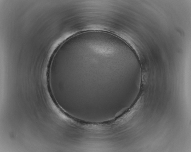 X0000112030995200908101334