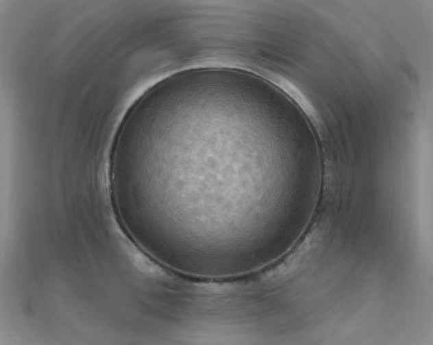 X0000112030996200908101334