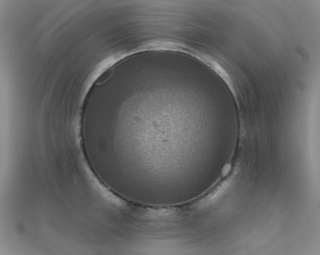 X0000112030997200908101334