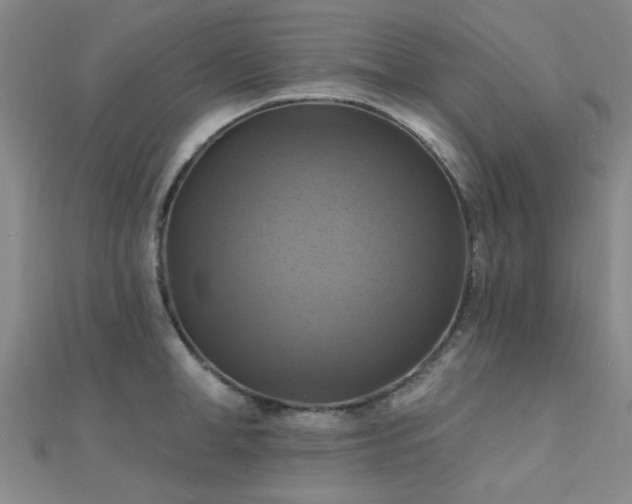 X0000112030998200908101334