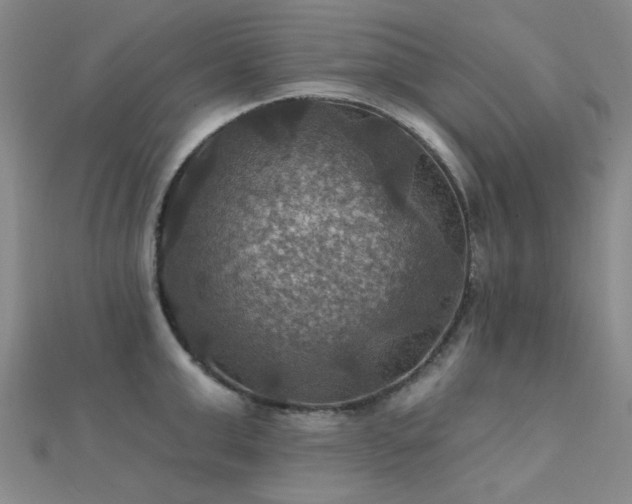 X0000112030999200908101334