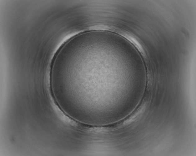 X0000112031000200908101334