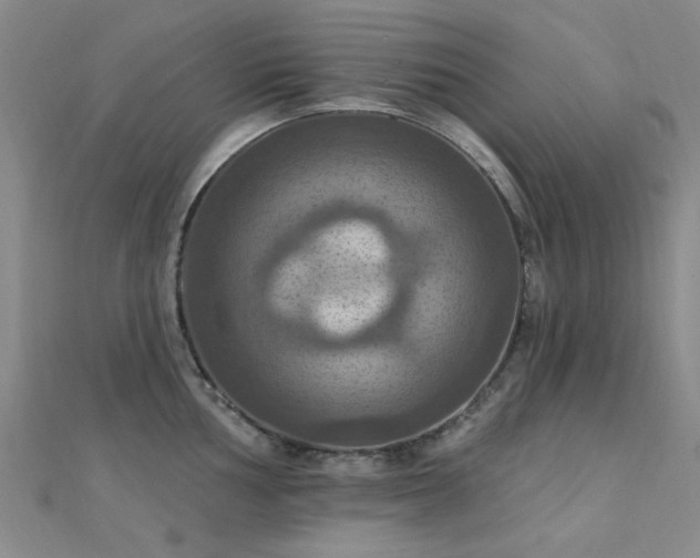 X0000112031002200908101334