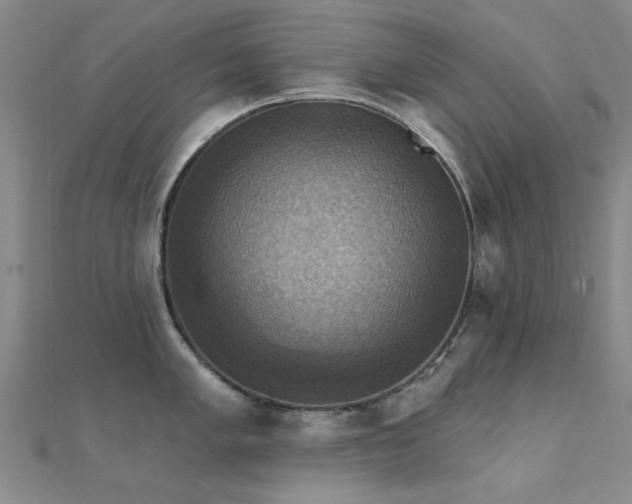 X0000112031005200908101334