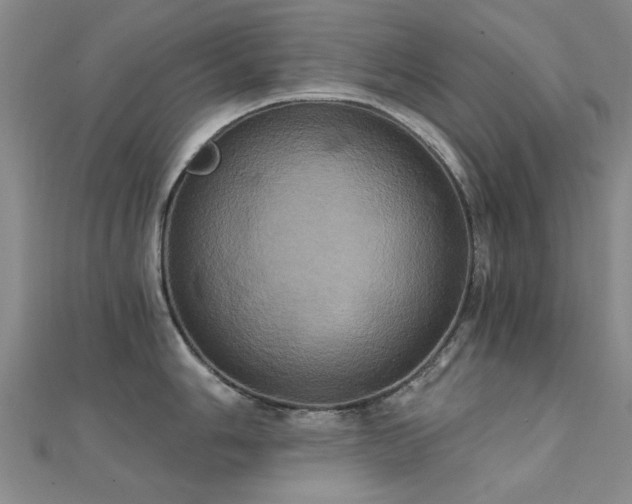X0000112031006200908101334