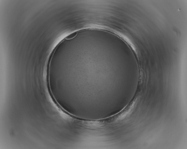 X0000112031007200908101334