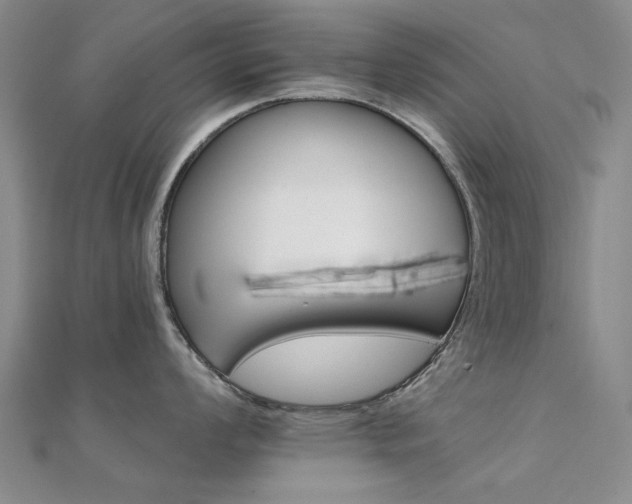 X0000112031008200908101334