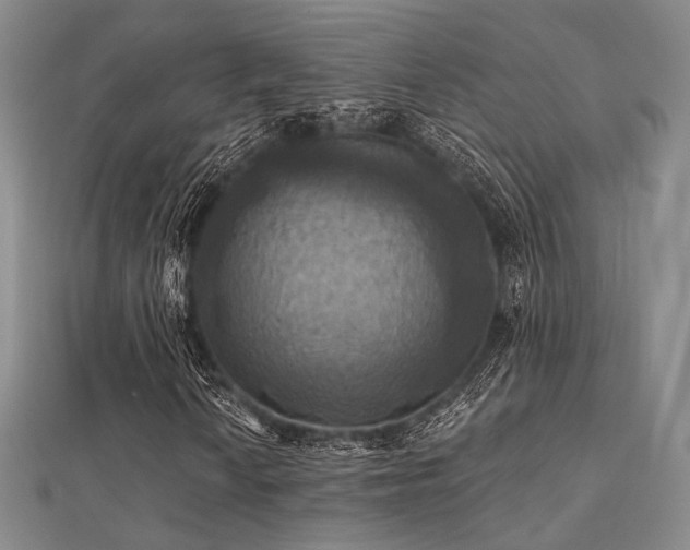 X0000112031010200908101333