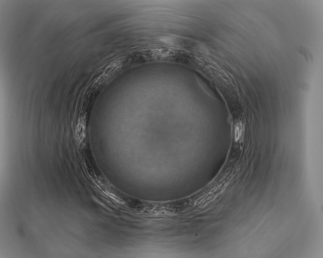 X0000112031011200908101333