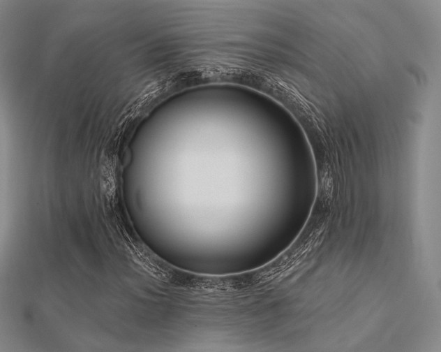 X0000112031012200908101333