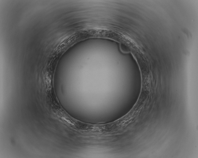X0000112031013200908101333