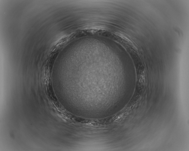 X0000112031014200908101333