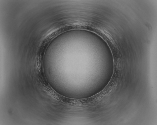 X0000112031015200908101333
